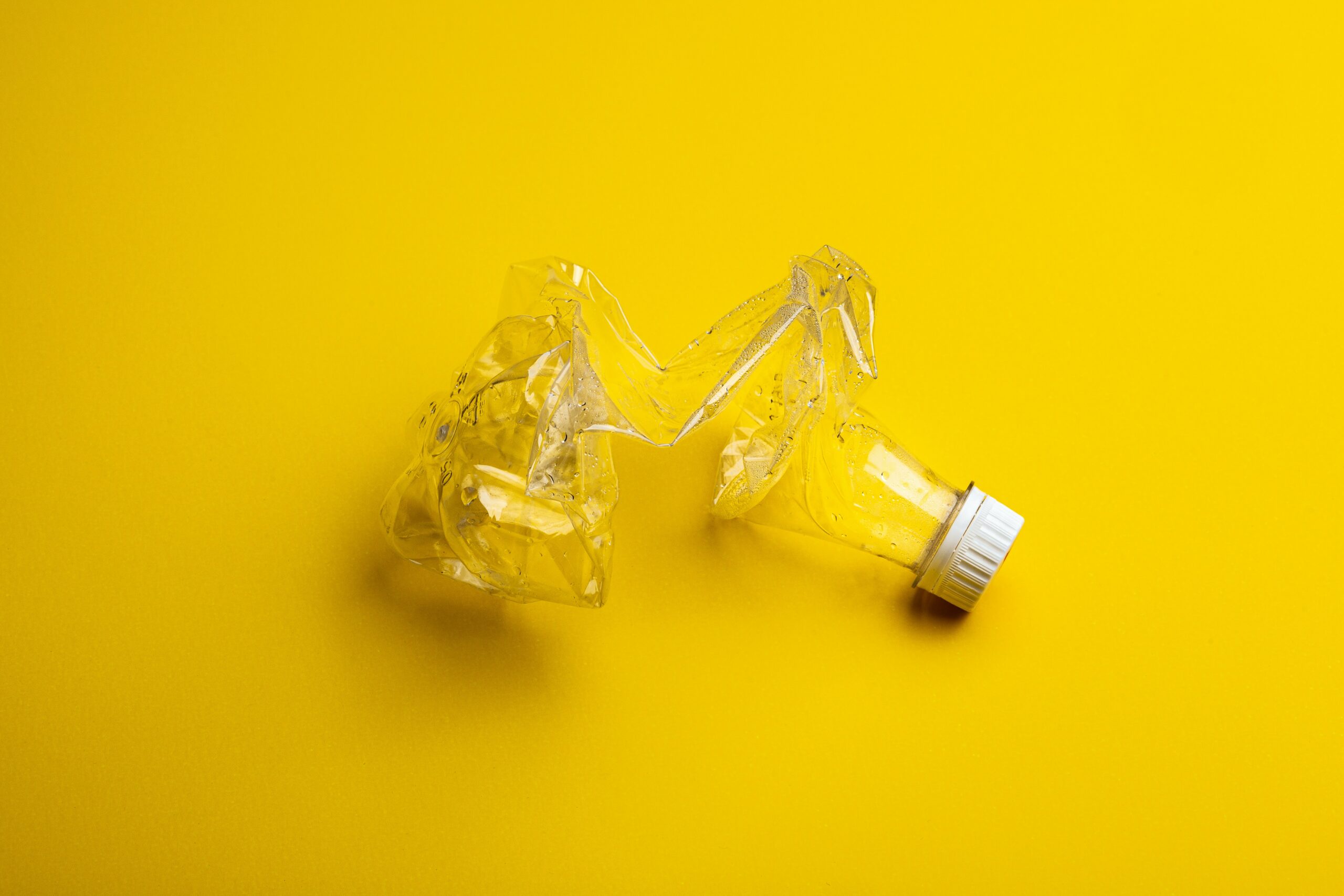 a plastic bottle to recycle for money in front of a yellow background